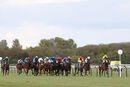 Race 4 - Something Enticing (4)