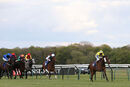 Race 4 - Something Enticing (5)