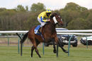 Race 4 - Something Enticing (7)