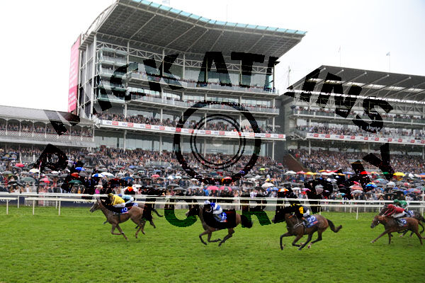 Race 4 - Sonnyboyliston (3)