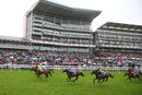 Race 4 - Sonnyboyliston (3)