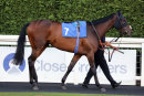 Race 4 - Spanish Archer (1)