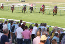 Race 4 - Spanish Archer (3)