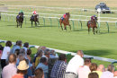 Race 4 - Spanish Archer (4)