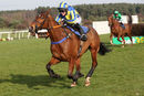 Race 4 - Star Foot (16)