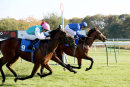 Race 4 - Star Safari (11)