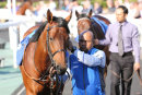 Race 4 - Star Safari (2)