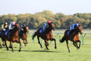 Race 4 - Star Safari (5)
