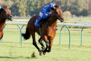 Race 4 - Star Safari (6)