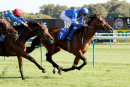 Race 4 - Star Safari (8)