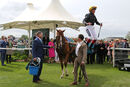 Race 4 - Stradivarius (16)