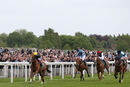 Race 4 - Stradivarius (2)