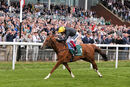 Race 4 - Stradivarius (4)