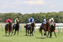 Race 4 - Stringybark Creek (2)