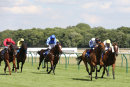 Race 4 - Stringybark Creek (3)