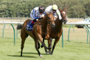 Race 4 - Stringybark Creek (4)