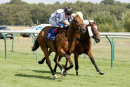 Race 4 - Stringybark Creek (5)
