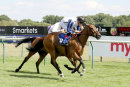 Race 4 - Stringybark Creek (6)