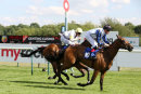 Race 4 - Stringybark Creek (8)