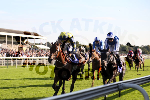 Race 4 - Surrey Gold (3)