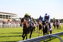 Race 4 - Surrey Gold (3)