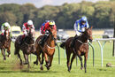 Race 4 - Sweet Madness (10)
