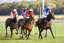 Race 4 - Sweet Madness (14)