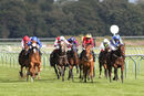 Race 4 - Sweet Madness (3)