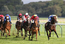 Race 4 - Sweet Madness (5)