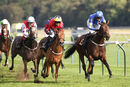 Race 4 - Sweet Madness (9)