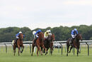 Race 4 - Taraashoq (3)