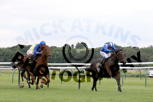Race 4 - Taraashoq (4)
