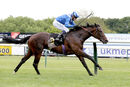 Race 4 - Taraashoq (7)
