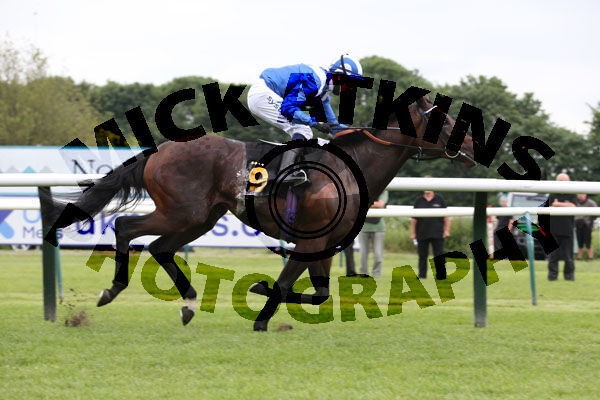 Race 4 - Taraashoq (8)