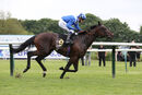 Race 4 - Taraashoq (8)