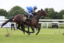 Race 4 - Taraashoq (9)