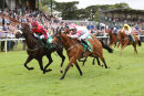 Race 4 - The Armed Man (8)