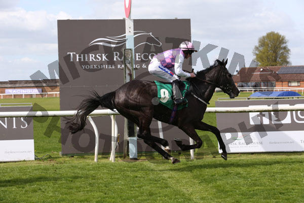 Race 4 - The Navigator (8)