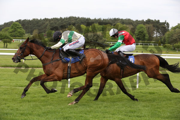 Race 4 - Theatrebar (9)