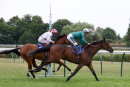 Race 4 - Thimbleweed (11)