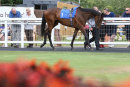 Race 4 - Thimbleweed (3)