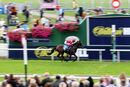 Race 4 - Third Kingdom (2)