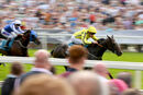 Race 4 - Tropical Island (4)