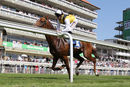 Race 4 - True Destiny (1)