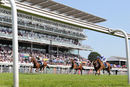 Race 4 - True Destiny (5)