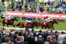 Race 4 - UAE Prince (2)