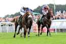 Race 4 - Ulysees (10)