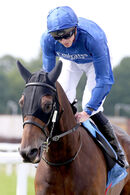 Race 4 - Valiant Prince (2)