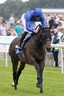 Race 4 - Valiant Prince (4)
