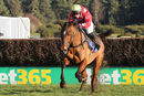 Race 4 - Value At Risk (11)